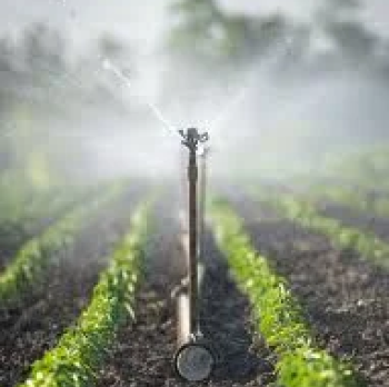 Sprinkler I